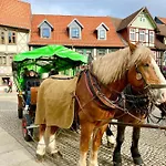 Traumhaus Mit Sauna Und Kamin * Wernigerode