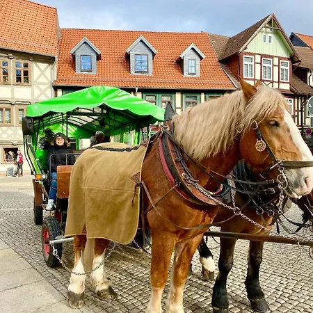 Traumhaus Mit Sauna Und Kamin * ヴェルニゲローデ