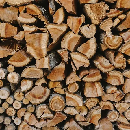 Traumhaus Mit Sauna Und Kamin *