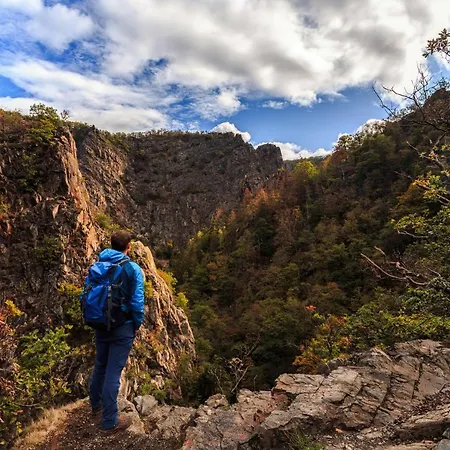 Traumhaus Mit Sauna Und Kamin * ヴェルニゲローデ