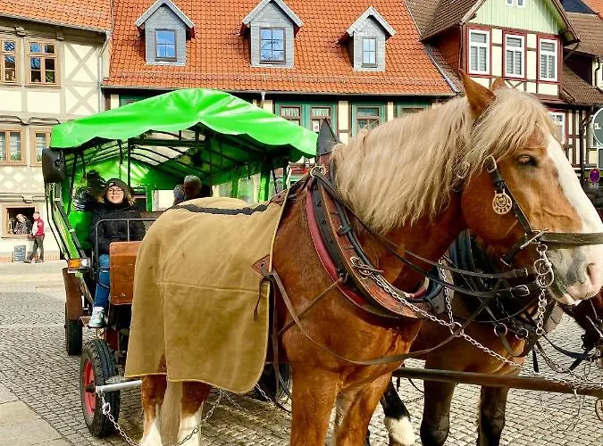 Traumhaus Mit Sauna Und Kamin * Wernigerode