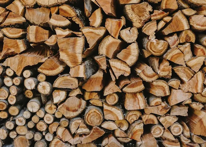 Traumhaus Mit Sauna Und Kamin *