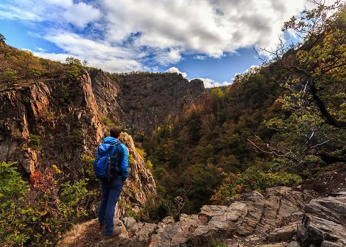 Traumhaus Mit Sauna Und Kamin * Wernigerode